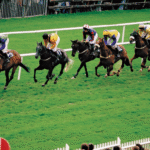 Horse racing is one of the oldest organized sports in human history, but it earned its famous title, the “Sport of Kings,” during a particular period in