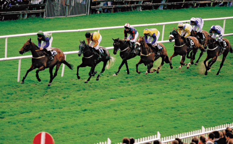 Horse racing is one of the oldest organized sports in human history, but it earned its famous title, the “Sport of Kings,” during a particular period in