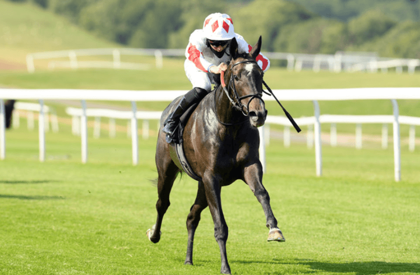 The Evolution of Thoroughbred Racing