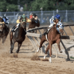 Famous Historic Horse Races That Changed the Sport