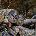 secure network operations log identifiers